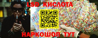 тгк Бийск