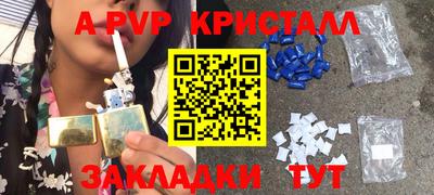 тгк Бийск